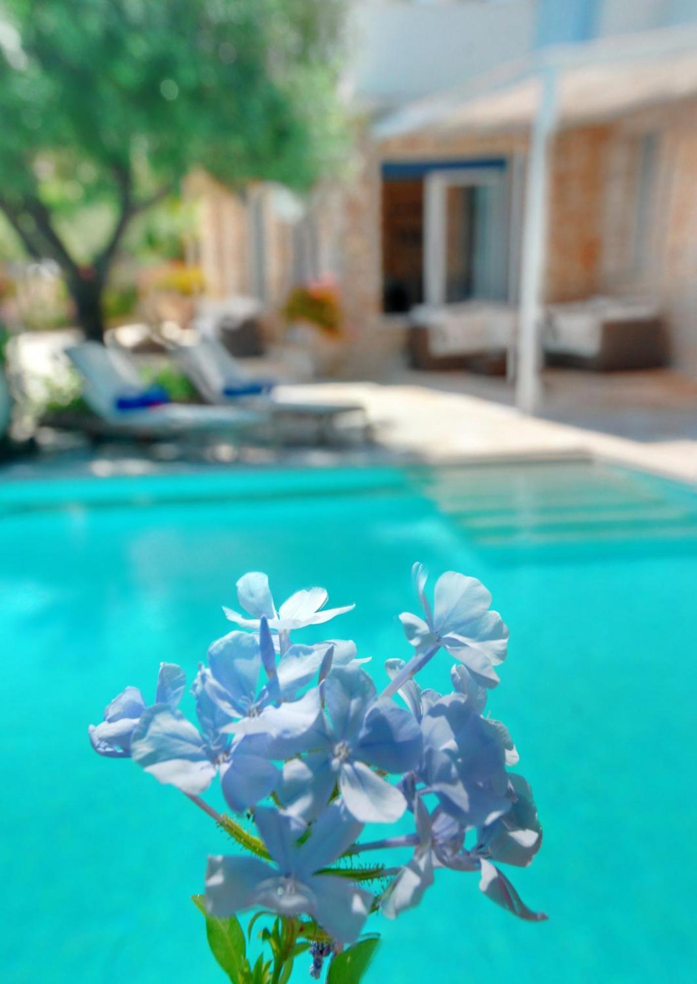 Corfu Luxury Villas 바바티 객실 사진